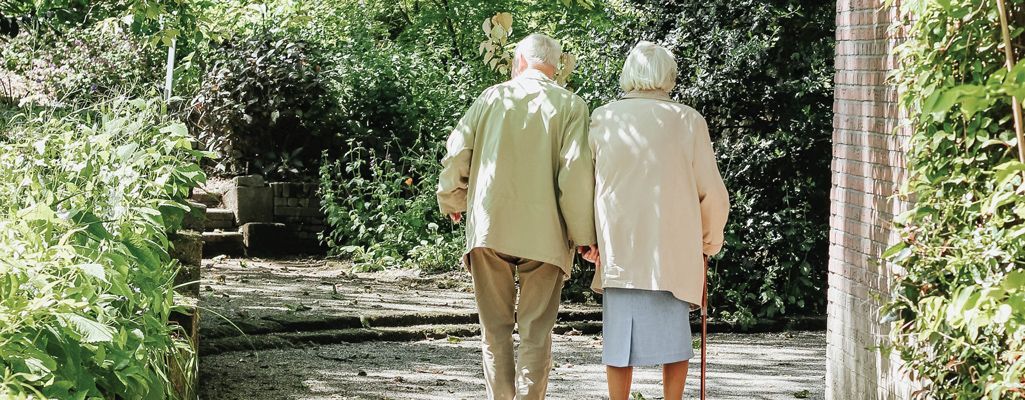 Elderly Spring